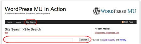 searchfunction1